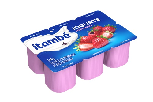 Bebida láctea de Morango Itambé 540g