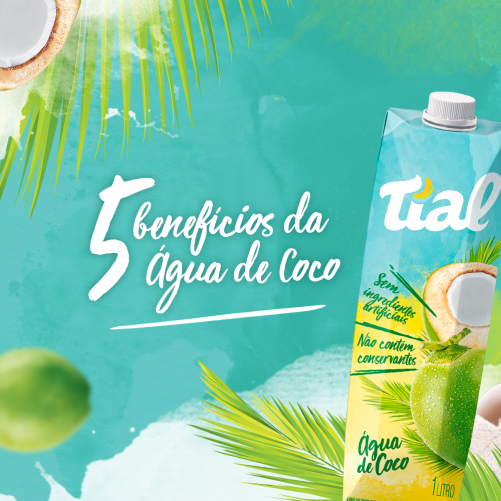 Água de Coco Natural Tial 1 l