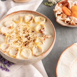 Canelone Recheado com Muçarela de Búfala, Presunto Parma e Damasco ao molho bechamel